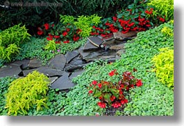 europe, flowers, horizontal, montreaux, switzerland, photograph