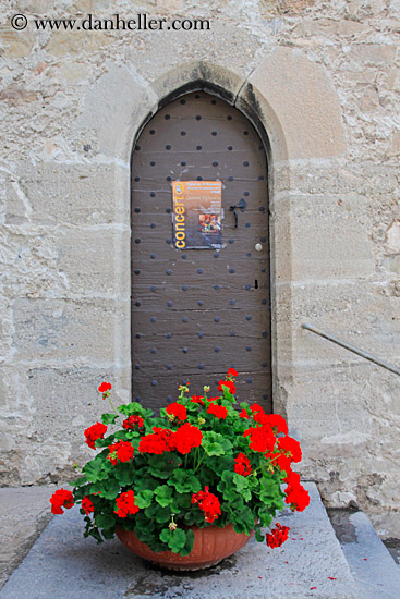 flowers-at-door.jpg