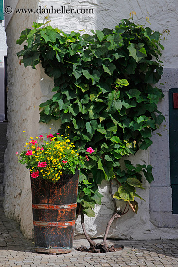 flowers-in-barrel-01.jpg