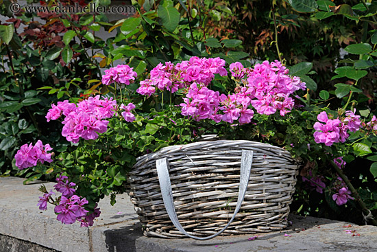 flowers-in-basket.jpg