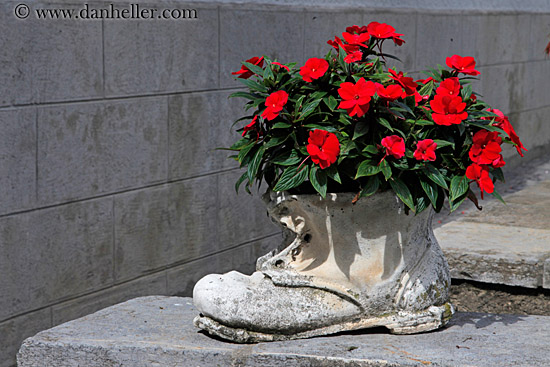 flowers-in-boot-planter-02.jpg