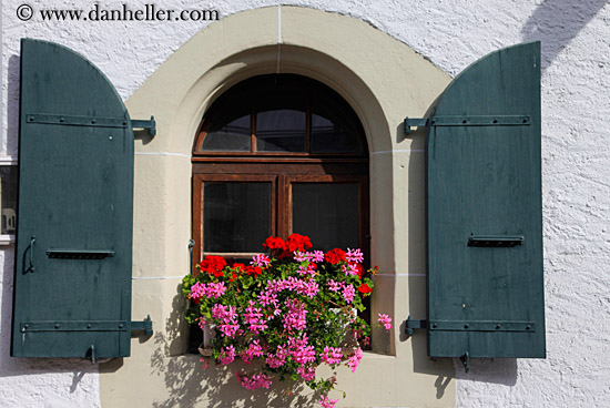 flowers-in-window-02.jpg