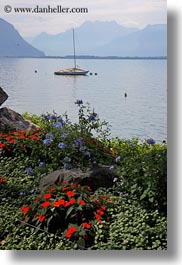 boats, europe, flowers, montreaux, switzerland, vertical, photograph