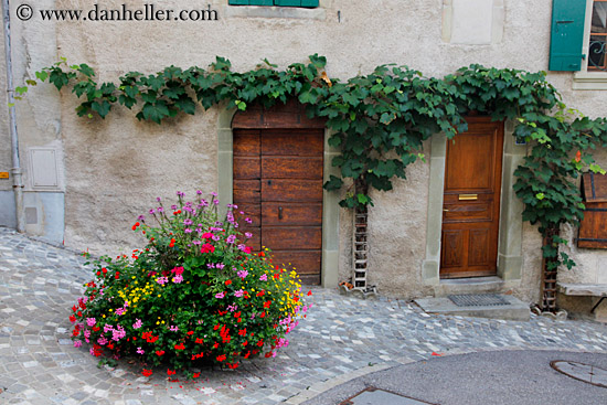 flowers-on-street-01.jpg