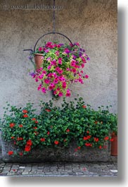 europe, flowers, montreaux, switzerland, vertical, walls, photograph