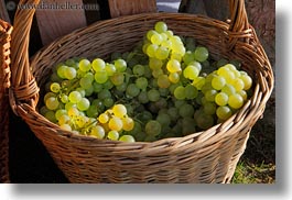 baskets, europe, grapes, horizontal, montreaux, switzerland, white, photograph