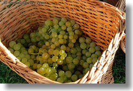 baskets, europe, grapes, horizontal, montreaux, switzerland, white, photograph
