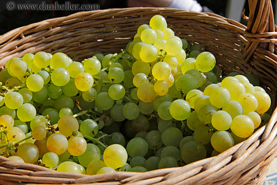 white-grapes-in-basket-03.jpg