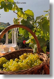 baskets, europe, grapes, montreaux, switzerland, vertical, white, photograph
