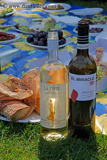 picnic-setting-n-wine-02.jpg