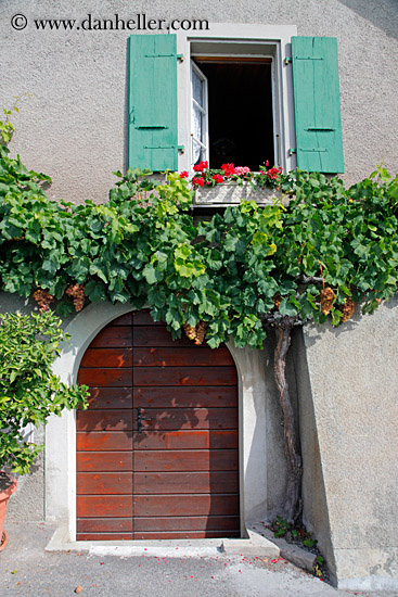 arch-door-n-ivy-01.jpg