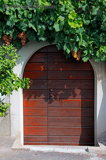 arch-door-n-ivy-02.jpg