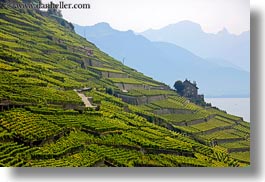 images/Europe/Switzerland/Montreaux/StSaphorin/vineyards-house-n-mtns-01.jpg