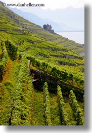 images/Europe/Switzerland/Montreaux/StSaphorin/vineyards-house-n-mtns-03.jpg