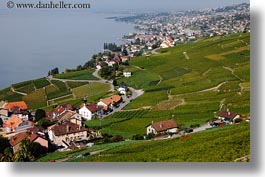 images/Europe/Switzerland/Montreaux/StSaphorin/vineyards-n-coastal-road-01.jpg