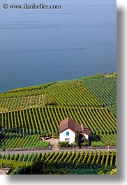 images/Europe/Switzerland/Montreaux/StSaphorin/vineyards-n-coastal-road-02.jpg
