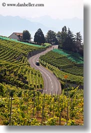 images/Europe/Switzerland/Montreaux/StSaphorin/vineyards-n-coastal-road-03.jpg