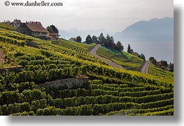 images/Europe/Switzerland/Montreaux/StSaphorin/vineyards-n-coastal-road-04.jpg
