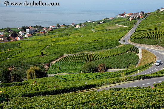 vineyards-n-coastal-road-05.jpg