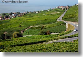 images/Europe/Switzerland/Montreaux/StSaphorin/vineyards-n-coastal-road-05.jpg