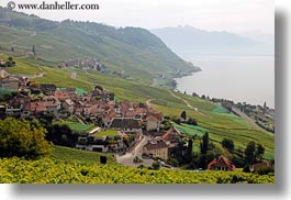 images/Europe/Switzerland/Montreaux/StSaphorin/vineyards-n-coastal-road-06.jpg