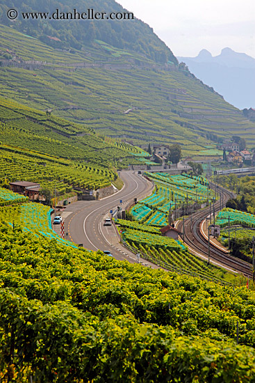 vineyards-n-coastal-road-08.jpg