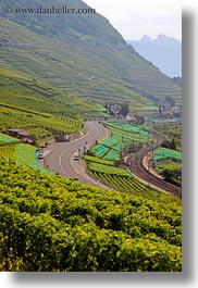 images/Europe/Switzerland/Montreaux/StSaphorin/vineyards-n-coastal-road-08.jpg