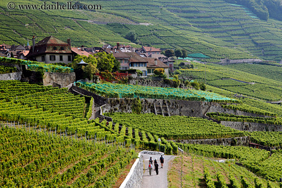 vineyards-n-hikers-02.jpg