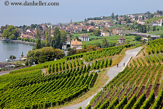 vineyards-n-hikers-03.jpg