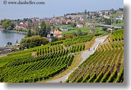 images/Europe/Switzerland/Montreaux/StSaphorin/vineyards-n-hikers-03.jpg