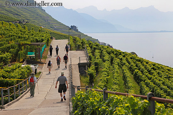 vineyards-n-hikers-04.jpg