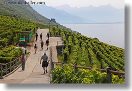 images/Europe/Switzerland/Montreaux/StSaphorin/vineyards-n-hikers-04.jpg