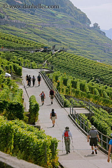 vineyards-n-hikers-05.jpg