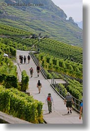 images/Europe/Switzerland/Montreaux/StSaphorin/vineyards-n-hikers-05.jpg