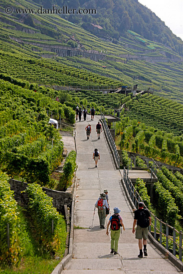 vineyards-n-hikers-06.jpg