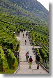 images/Europe/Switzerland/Montreaux/StSaphorin/vineyards-n-hikers-06.jpg