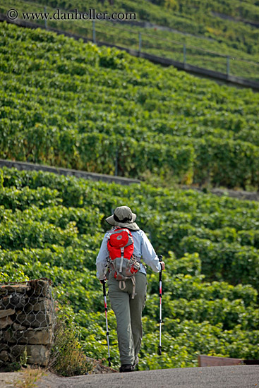 vineyards-n-hikers-07.jpg