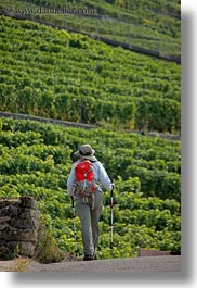 europe, hikers, montreaux, st saphorin, switzerland, vertical, vineyards, photograph
