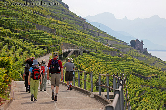 vineyards-n-hikers-08.jpg