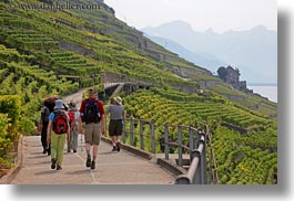 europe, hikers, horizontal, montreaux, st saphorin, switzerland, vineyards, photograph