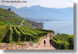 images/Europe/Switzerland/Montreaux/StSaphorin/vineyards-n-hikers-09.jpg