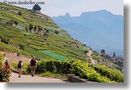 images/Europe/Switzerland/Montreaux/StSaphorin/vineyards-n-hikers-10.jpg