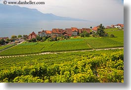 images/Europe/Switzerland/Montreaux/StSaphorin/vineyards-n-houses-02.jpg