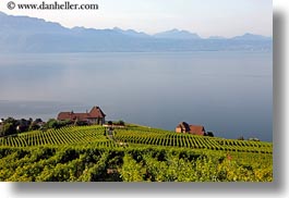 images/Europe/Switzerland/Montreaux/Villette/vineyards-house-n-lake-01.jpg