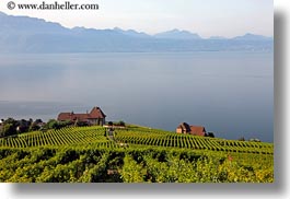 europe, horizontal, houses, lakes, montreaux, switzerland, villette, vineyards, photograph