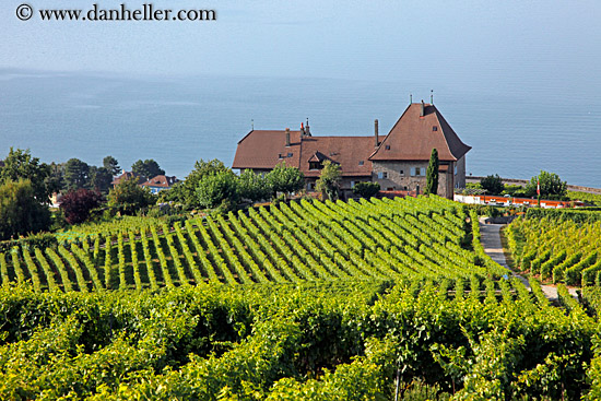 vineyards-house-n-lake-02.jpg