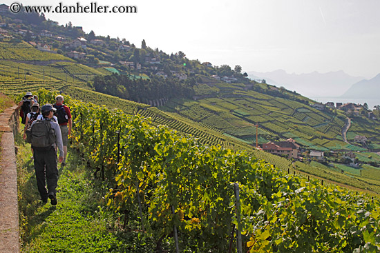 vineyards-n-hikers-01.jpg