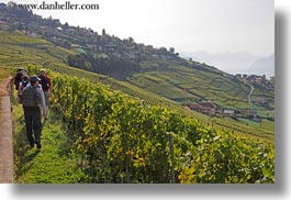 images/Europe/Switzerland/Montreaux/Villette/vineyards-n-hikers-01.jpg