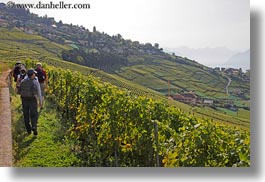 europe, hikers, horizontal, montreaux, switzerland, villette, vineyards, photograph