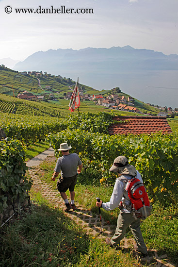 vineyards-n-hikers-02.jpg